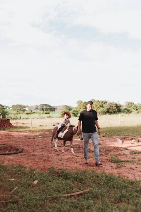 Decoração de aniversário de 6 anos com tema de fazenda'