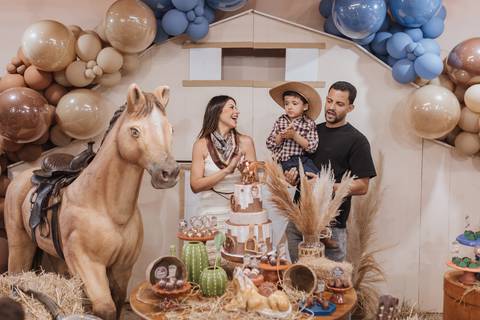 Decoração de aniversário de 6 anos com tema de fazenda'