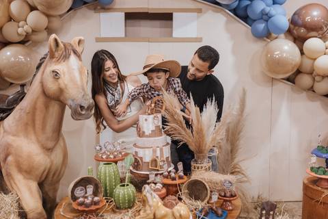 Decoração de aniversário de 6 anos com tema de fazenda'