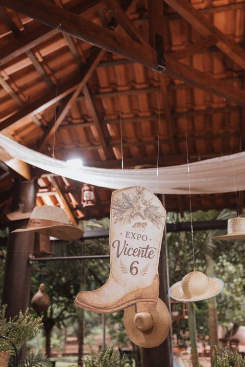 Decoração de aniversário de 6 anos com tema de fazenda'