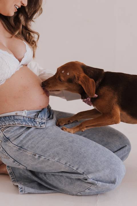 inspiração de ensaio gestante no estudio'