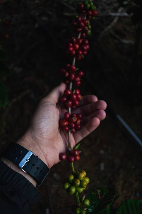 Fotografia esportiva, fotografo outdoor, trilha pedra do camelo, pancas es, trekking no es, fotógrafo ilha de guriri es, fotógrafo em São Mateus ES, Shanti Amaral Fotografia.'