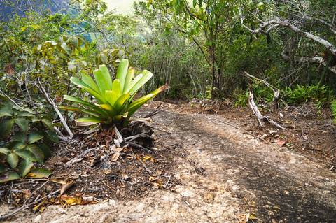 Fotografia esportiva, fotografo outdoor, trilha pedra do camelo, pancas es, trekking no es, fotógrafo ilha de guriri es, fotógrafo em São Mateus ES, Shanti Amaral Fotografia.'