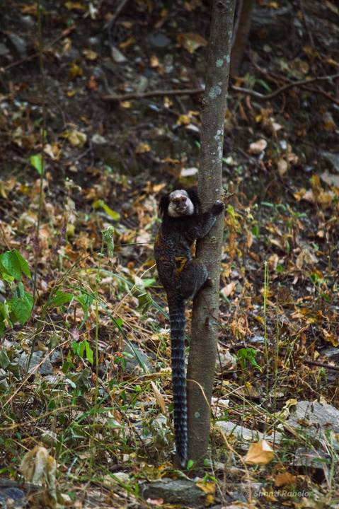 Fotografia de escalada, fotógrafo outdoor, fotografo de eventos esportivos, fotógrafo gv, fotógrafo em Governador Valadares MG, Shanti Amaral Fotografia.'