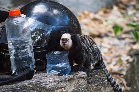 Fotografia de escalada, fotógrafo outdoor, fotografo de eventos esportivos, fotógrafo gv, fotógrafo em Governador Valadares MG, Shanti Amaral Fotografia.'