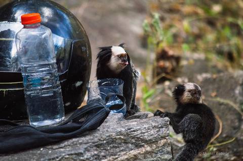 Fotografia de escalada, fotógrafo outdoor, fotografo de eventos esportivos, fotógrafo gv, fotógrafo em Governador Valadares MG, Shanti Amaral Fotografia.'
