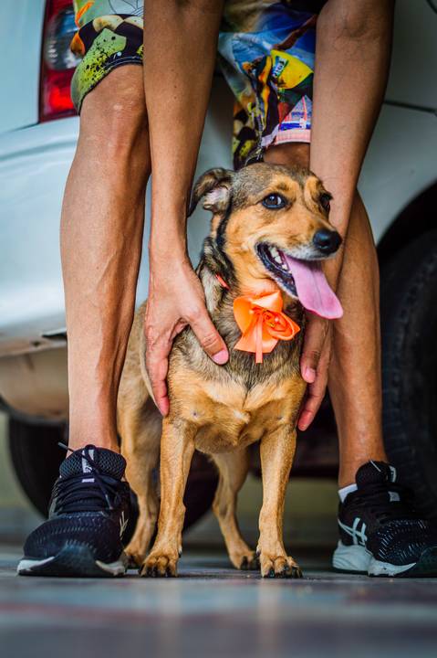 Ensaio fotográfico Família Bahia, em casa, feminino, com cachorro, com pet, São Mateus ES, Agência Cricaré, Shanti Rabelo'
