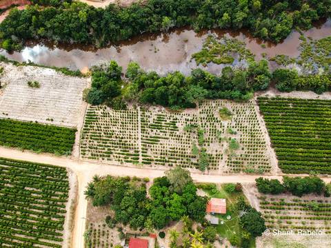 Fotógrafo de drone em São Mateus es, Fotografia aérea em São Mateus, Acompanhamento de obras com drone, Imagens aéreas de sítio, Imagens aéreas de roça, Imagens Aéreas, Fotógrafo de imagens Aéreas em São Mateus ES, Shanti Rabelo, Agência Cricaré, São Mate'
