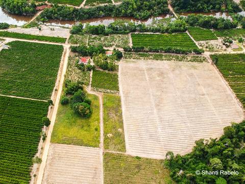 Fotógrafo de drone em São Mateus es, Fotografia aérea em São Mateus, Acompanhamento de obras com drone, Imagens aéreas de sítio, Imagens aéreas de roça, Imagens Aéreas, Fotógrafo de imagens Aéreas em São Mateus ES, Shanti Rabelo, Agência Cricaré, São Mate'
