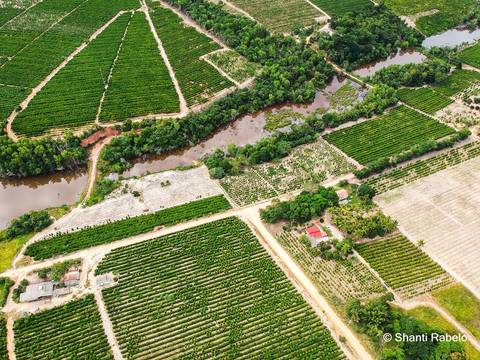 Fotógrafo de drone em São Mateus es, Fotografia aérea em São Mateus, Acompanhamento de obras com drone, Imagens aéreas de sítio, Imagens aéreas de roça, Imagens Aéreas, Fotógrafo de imagens Aéreas em São Mateus ES, Shanti Rabelo, Agência Cricaré, São Mate'