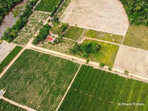 Fotógrafo de drone em São Mateus es, Fotografia aérea em São Mateus, Acompanhamento de obras com drone, Imagens aéreas de sítio, Imagens aéreas de roça, Imagens Aéreas, Fotógrafo de imagens Aéreas em São Mateus ES, Shanti Rabelo, Agência Cricaré, São Mate'