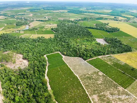 Fotógrafo de drone em São Mateus es, Fotografia aérea em São Mateus, Acompanhamento de obras com drone, Imagens aéreas de sítio, Imagens aéreas de roça, Imagens Aéreas, Fotógrafo de imagens Aéreas em São Mateus ES, Shanti Rabelo, Agência Cricaré, São Mate'
