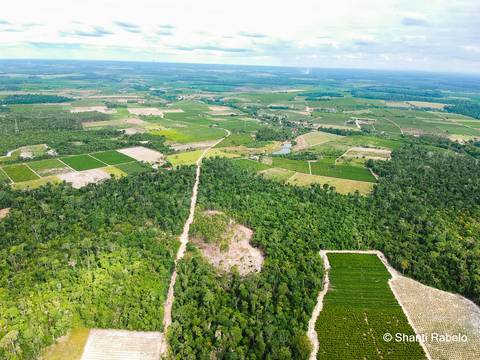 Fotógrafo de drone em São Mateus es, Fotografia aérea em São Mateus, Acompanhamento de obras com drone, Imagens aéreas de sítio, Imagens aéreas de roça, Imagens Aéreas, Fotógrafo de imagens Aéreas em São Mateus ES, Shanti Rabelo, Agência Cricaré, São Mate'
