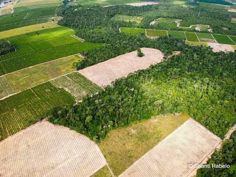 Fotógrafo de drone em São Mateus es, Fotografia aérea em São Mateus, Acompanhamento de obras com drone, Imagens aéreas de sítio, Imagens aéreas de roça, Imagens Aéreas, Fotógrafo de imagens Aéreas em São Mateus ES, Shanti Rabelo, Agência Cricaré, São Mate'