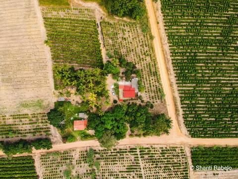 Fotógrafo de drone em São Mateus es, Fotografia aérea em São Mateus, Acompanhamento de obras com drone, Imagens aéreas de sítio, Imagens aéreas de roça, Imagens Aéreas, Fotógrafo de imagens Aéreas em São Mateus ES, Shanti Rabelo, Agência Cricaré, São Mate'