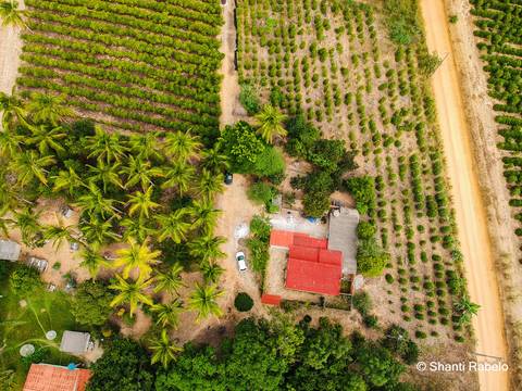 Fotógrafo de drone em São Mateus es, Fotografia aérea em São Mateus, Acompanhamento de obras com drone, Imagens aéreas de sítio, Imagens aéreas de roça, Imagens Aéreas, Fotógrafo de imagens Aéreas em São Mateus ES, Shanti Rabelo, Agência Cricaré, São Mate'
