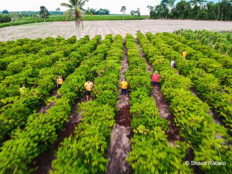 Fotógrafo de drone em São Mateus es, Fotografia aérea em São Mateus, Acompanhamento de obras com drone, Imagens aéreas de sítio, Imagens aéreas de roça, Imagens Aéreas, Fotógrafo de imagens Aéreas em São Mateus ES, Shanti Rabelo, Agência Cricaré, São Mate'