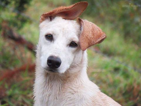 Charmosa em Paraisópolis/MG'