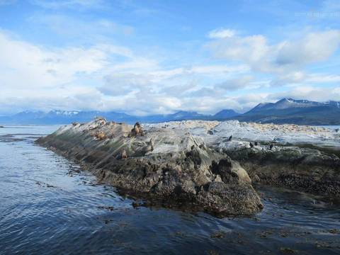 ilha dos leões marinhos'