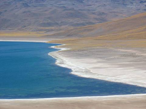 Laguna Atacama'