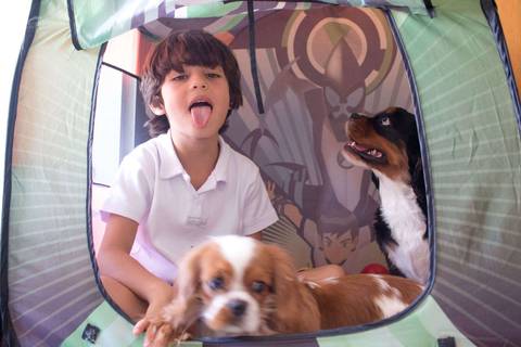 Davi, Toddy e Lucy - Pet & Kid - Jundiaí-SP'