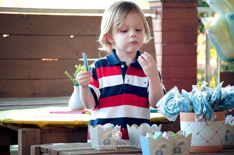 Chá de bebê do menino Lucas, lindo, no estilo rústico, com o cacho de bolas desconstruído. Com o tema de elefantinho a combinação de azul, amarelo e cinza ficaram perfeitas. o chevron deu um toque especial nesse chá de bebê.'