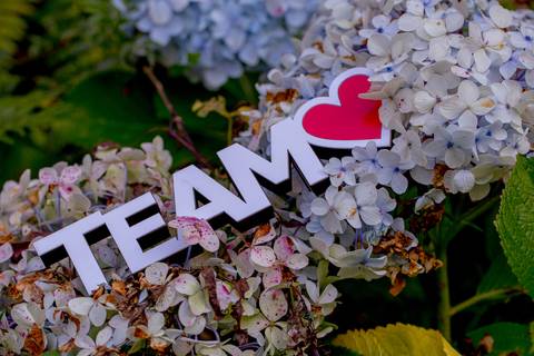 Fotografo - Casamentos - Pré Wedding - Ensaios - Cambuí - sul de Minas - Fotografo para Casamento - Bom Repouso  - Cambuí - Senador Amaral-estiva - Camanducaia'