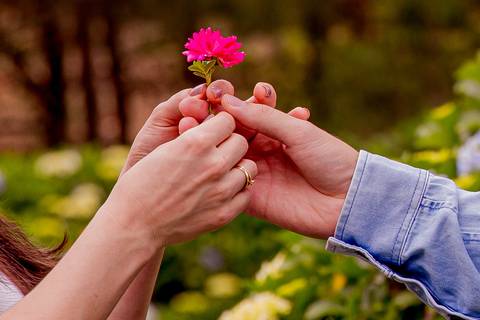  Ensaio de Bruna e Héber no Hotel Fazenda Floresta Negra Monte Verde MG'