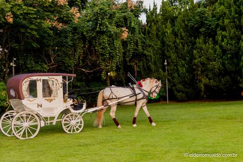 Fotografo - Casamentos - Pré Wedding - Ensaios - Cambuí - sul de Minas - Fotografo para Casamento - Bom Repouso  - Cambuí - Senador Amaral-estiva - Camanducaia
'