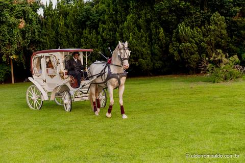 Fotografo - Casamentos - Pré Wedding - Ensaios - Cambuí - sul de Minas - Fotografo para Casamento - Bom Repouso  - Cambuí - Senador Amaral-estiva - Camanducaia
'