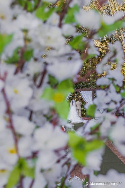 Fotografo para Casamento-Bom Repouso-Cambui-Senador Amaral-estiva-camanducaia-Corrego Bom Do Jesus-Borda da Mata-Tocos do Mogim- minas Gerais'