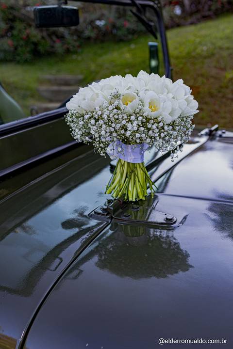 Fotografo para Casamento-Bom Repouso-Cambui-Senador Amaral-estiva-camanducaia-Corrego Bom Do Jesus-Borda da Mata-Tocos do Mogim- minas Gerais'