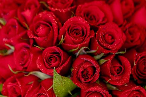 Fotografo para Casamento-Bom Repouso-Cambui-Senador Amaral-estiva-camanducaia-Corrego Bom Do Jesus-Borda da Mata-Tocos do Mogim- minas Gerais'