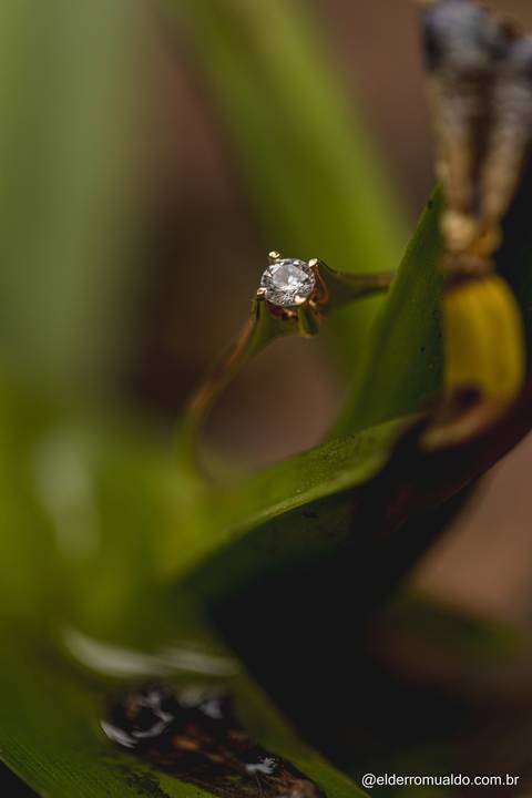 Fotografo para Casamento-Bom Repouso-Cambui-Senador Amaral-estiva-camanducaia-Corrego Bom Do Jesus-Borda da Mata-Tocos do Mogim- minas Gerais'