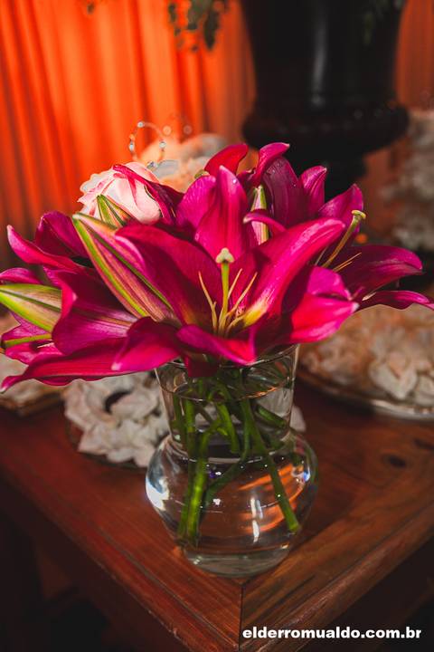 Fotografo para Casamento-Bom Repouso-Cambui-Senador Amaral-estiva-camanducaia-Corrego Bom Do Jesus-Borda da Mata-Tocos do Mogim- minas Gerais'