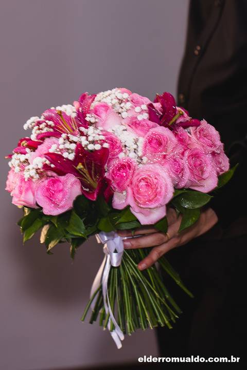 Fotografo para Casamento-Bom Repouso-Cambui-Senador Amaral-estiva-camanducaia-Corrego Bom Do Jesus-Borda da Mata-Tocos do Mogim- minas Gerais'