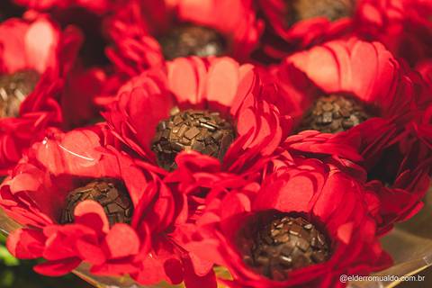 Fotografo - Casamentos - Pré Wedding - Ensaios - Aniversario de 15 anos Cambuí - sul de Minas - Fotografo para Casamento - Bom Repouso - Cambuí - Senador Amaral-estiva - Camanducaia'