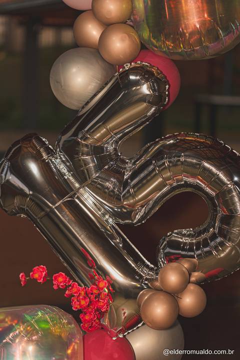 Fotografo - Casamentos - Pré Wedding - Ensaios - Aniversario de 15 anos Cambuí - sul de Minas - Fotografo para Casamento - Bom Repouso - Cambuí - Senador Amaral-estiva - Camanducaia'