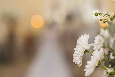 Fotografo para Casamento-Bom Repouso-Cambui-Senador Amaral-estiva-camanducaia-Corrego Bom Do Jesus-Borda da Mata-Tocos do Mogim- minas Gerais'