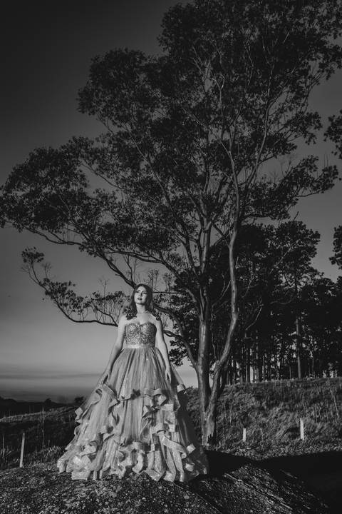 Fotógrafo - Casamentos - Pré Wedding - Ensaios - Aniversário de 15 anos - Debutante - Cambuí - Sul de Minas - Fotógrafo para Casamento - Bom Repouso - Cambuí - Senador Amaral - Estiva - '