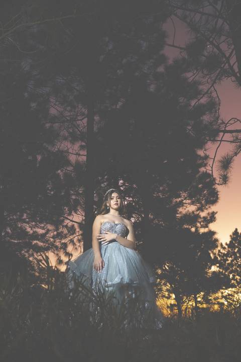Fotógrafo - Casamentos - Pré Wedding - Ensaios - Aniversário de 15 anos - Debutante - Cambuí - Sul de Minas - Fotógrafo para Casamento - Bom Repouso - Cambuí - Senador Amaral - Estiva - '