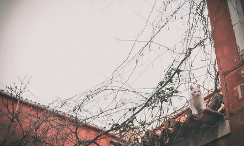 Filipe Santos Photographer - veneza- destination wedding - photography -'