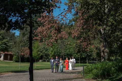 Um instante de paz entre os verdes'