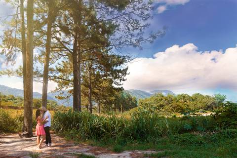 Ensaio Pré Casamento casal em baixo das árvores em Mangaratiba/RJ'