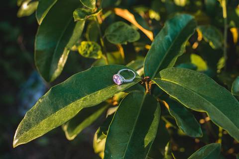 Detalhes anel de debutante em ensaio fotográfico RJ'