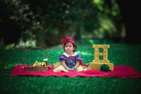 book infantil branca de neve-zona sul-RJ'