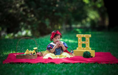 Ensaios infantil externo temáticos/RJ'