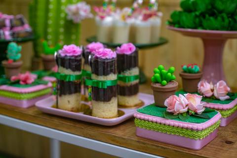 decoração e detalhes na festa de cactos-Taquara RJ'