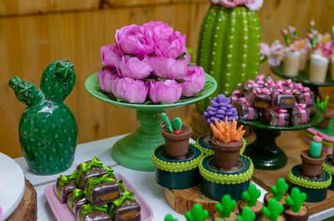 Festa decorada com tema Cactos em casa de festa mansão da Taquara'