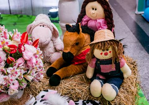 Detalhes  decoração bonecos do tema fazendinha rosa-amostra festiva 2019-'